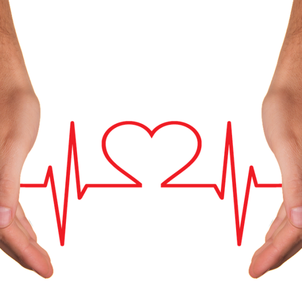 The best companies providing EHR systems in 2020